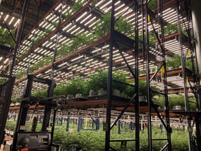 Multiple Location Indoor Cultivation Facility Upgrades