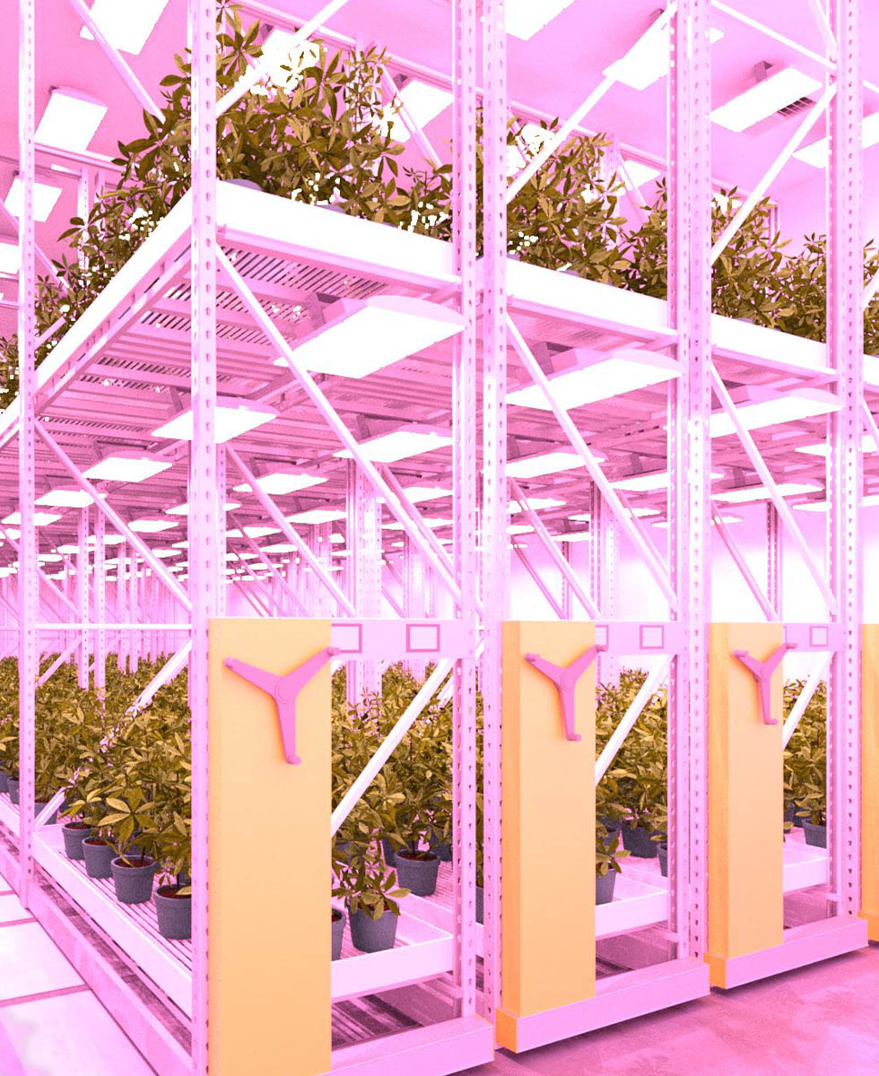 Grow Room Architect | CEA Services | Urban-gro