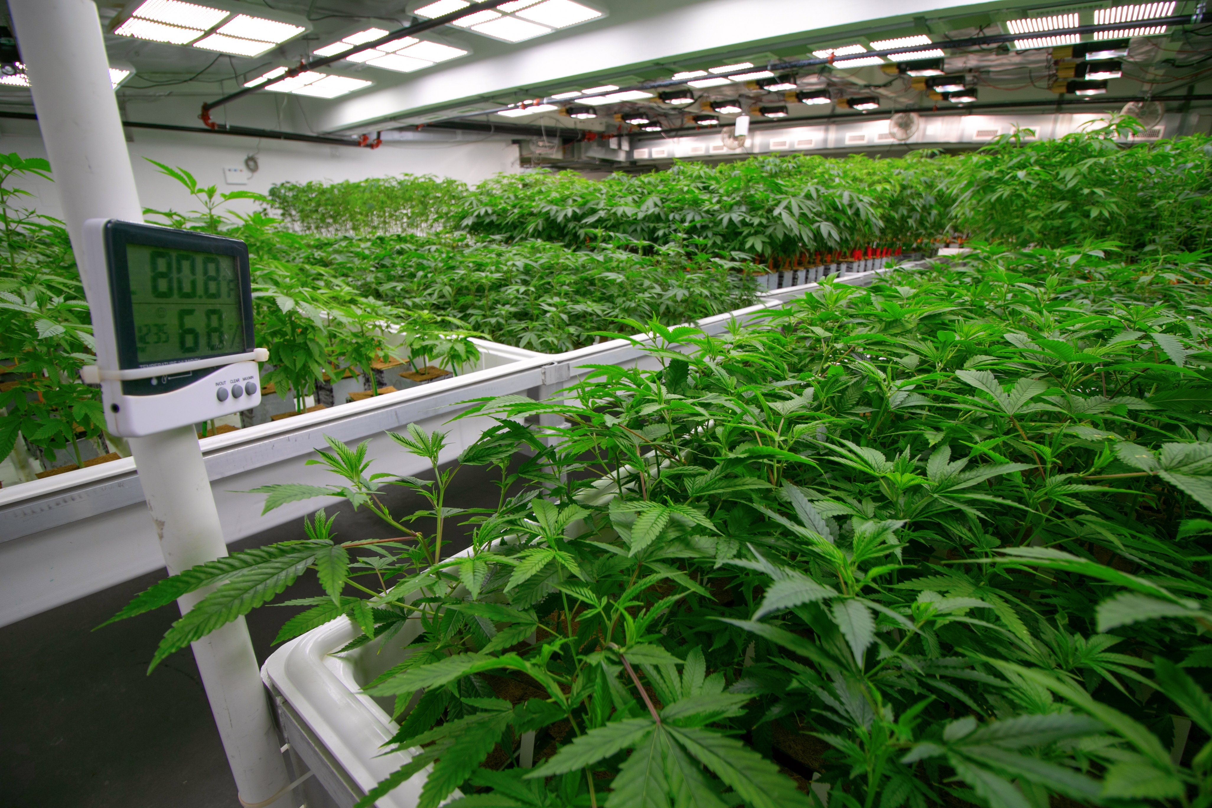 4 Tips for Retrofitting a Warehouse to Grow Cannabis | urban-gro